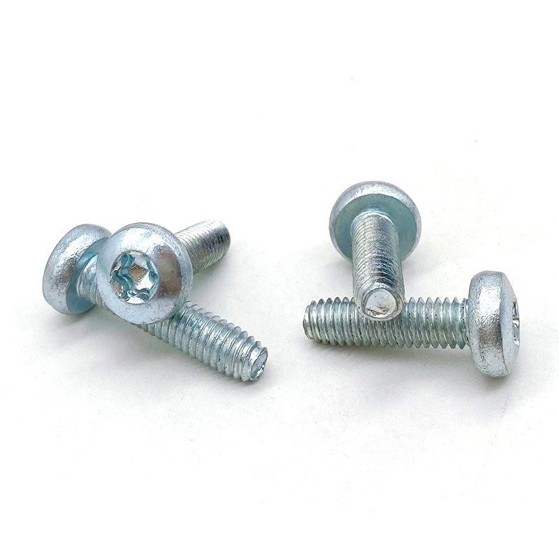 Thread Rolling Screw Type C